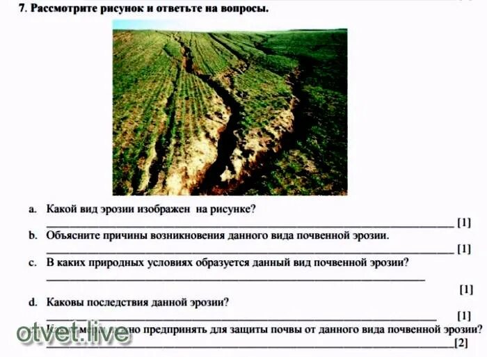 Эрозия и дефляция почв. Эрозия почвы. Виды эрозии. Какой вид эрозии ветровой. Водная и ветровая эрозия почв.