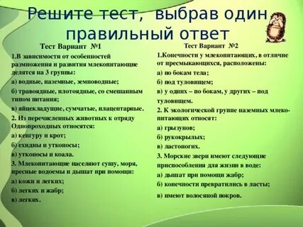 Общая характеристика млекопитающих тест