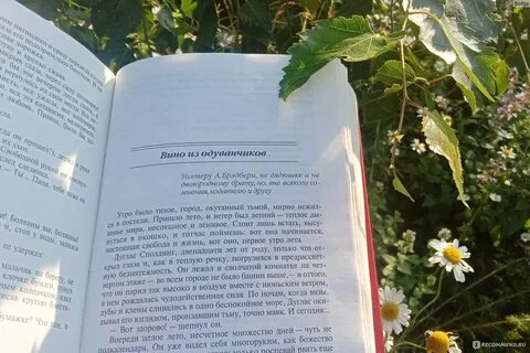 Не будет ни сегодня ни завтра