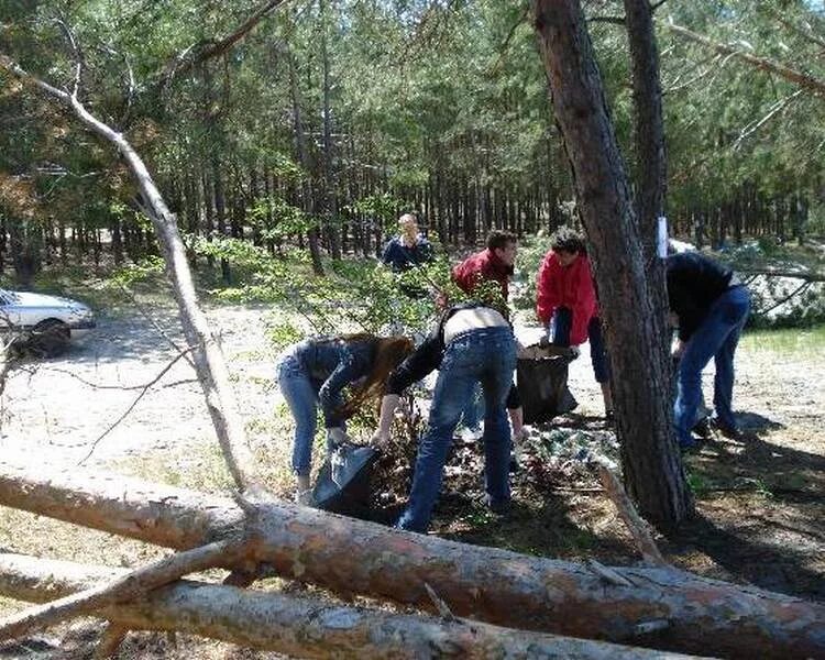 Уборка участков. Расчистка участка. Расчистка от кустарников и мелколесья. Расчистка участка инжгеосервис. Расчистка участка инжгеосервис.