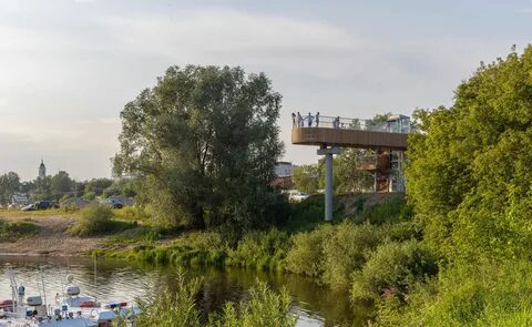 Волгоречье бор