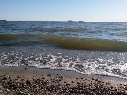 Море в новосибирске
