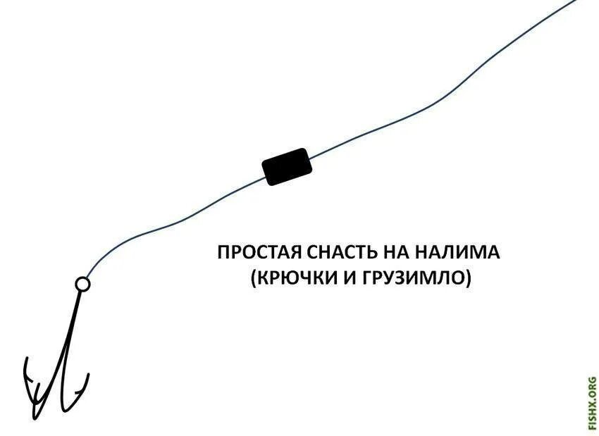 Техника ловли налима на донку осенью и подготовка снасти