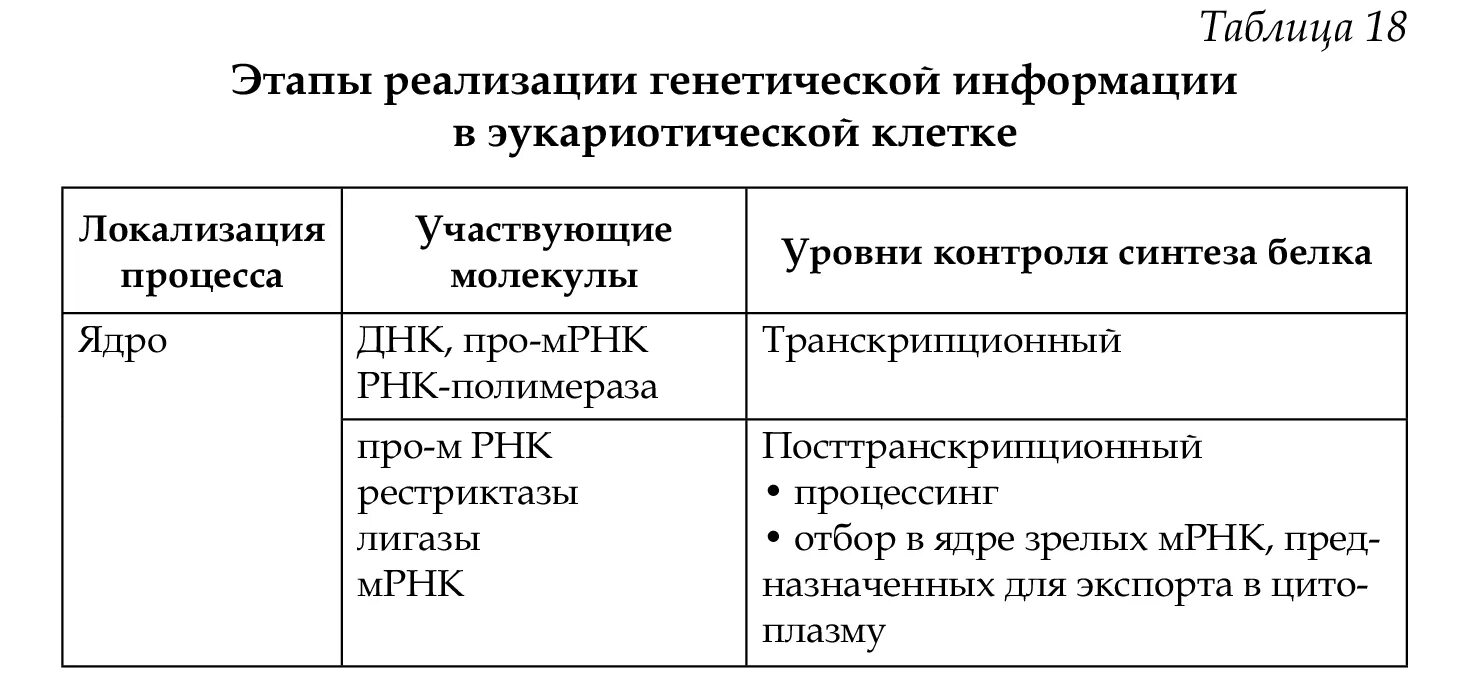 Рассмотрите рисунок и определите тип и фазу деления клетки, количество генетичес
