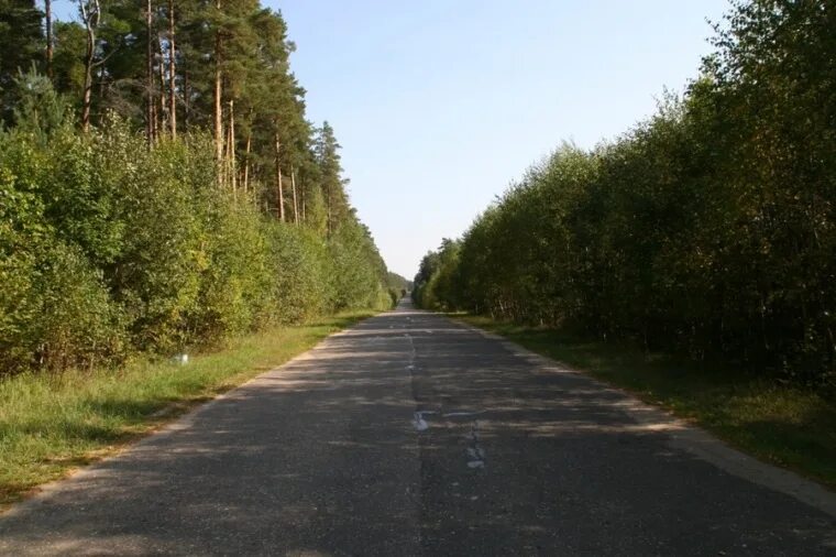 Деревня Броды Тверская область. Броды (Старицкий район). Д Броды Тверская область Старицкий район. Поля Старицкий район Тверская область.