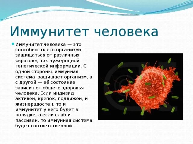 Информация про биологию. Сообщение на тему иммунитет 8 класс биология. Иммунитет человека. Иммунитет нарушения иммунной системы человека вакцинация. Сообщение на тему иммунитет.