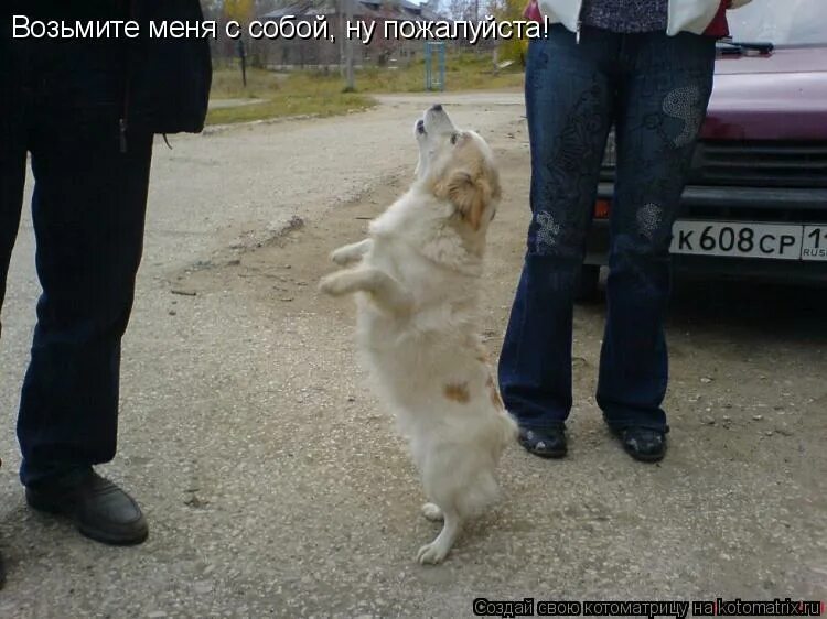 Пока не станцует и не споет. Слышь мужик.