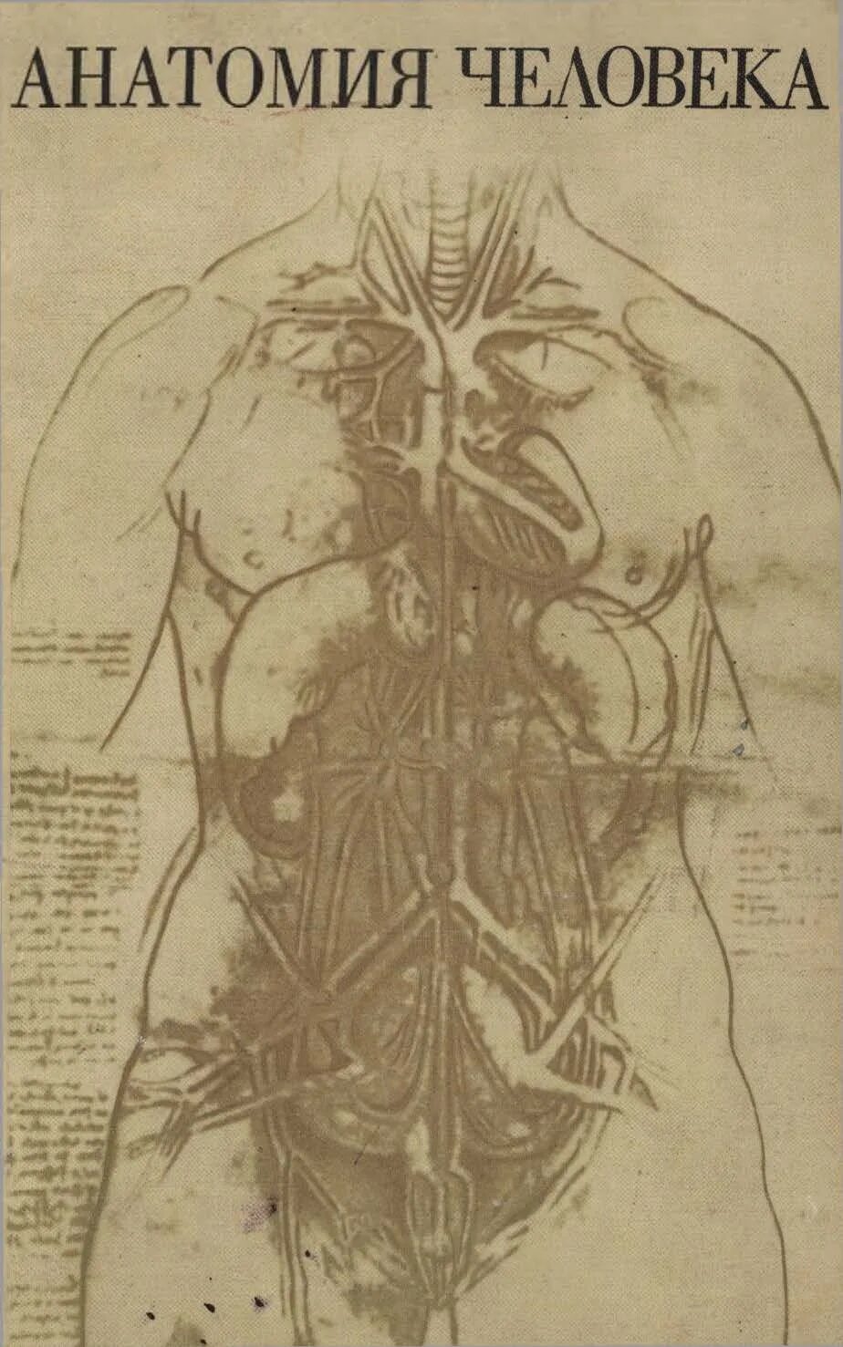 Анатомия человека 5 издание Михайлов. Анатомия человека книга. Старая книга по анатомии. Старые учебники по анатомии. Анатомия человека пособия