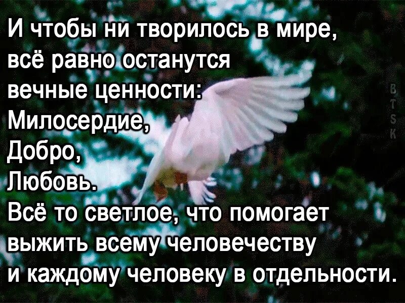 Чтобы ни творилось в мире. Добро любовь Милосердие. Чтобы ни творилось в мире все равно останутся вечные ценности. Доброта любовь Милосердие. Любовь милосердна