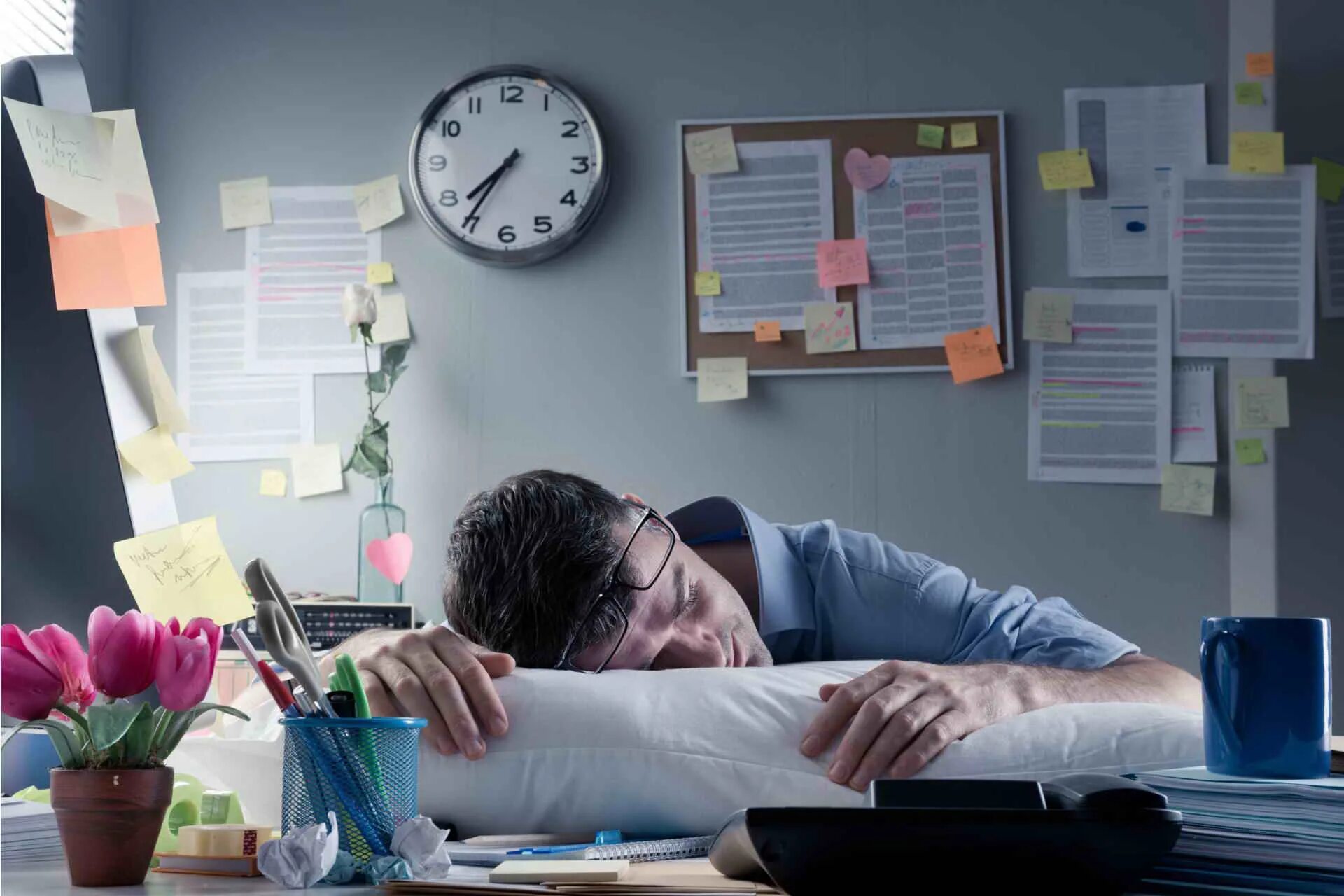 Alexanders working day