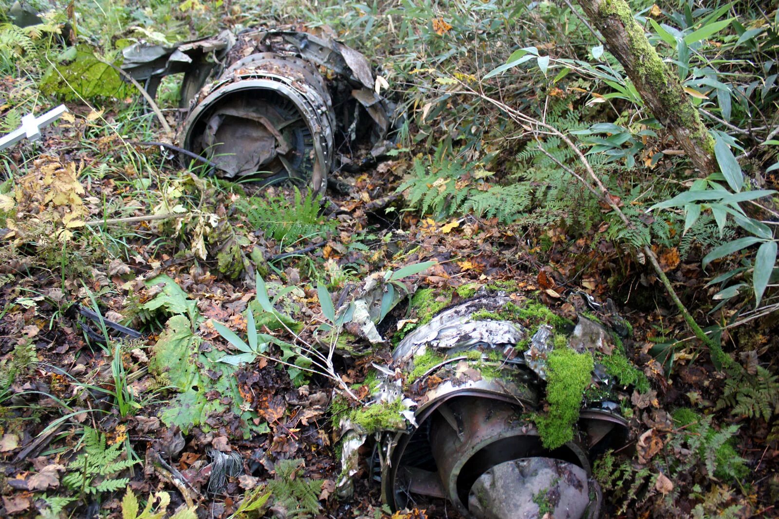 катастрофа ил-18 под ленинградом (1974). авария ил-18 под тикси. крушение ил 18 1974 под ленинградом. ил-18 в батуми. катастрофа ил-18 в свердловске (1967).