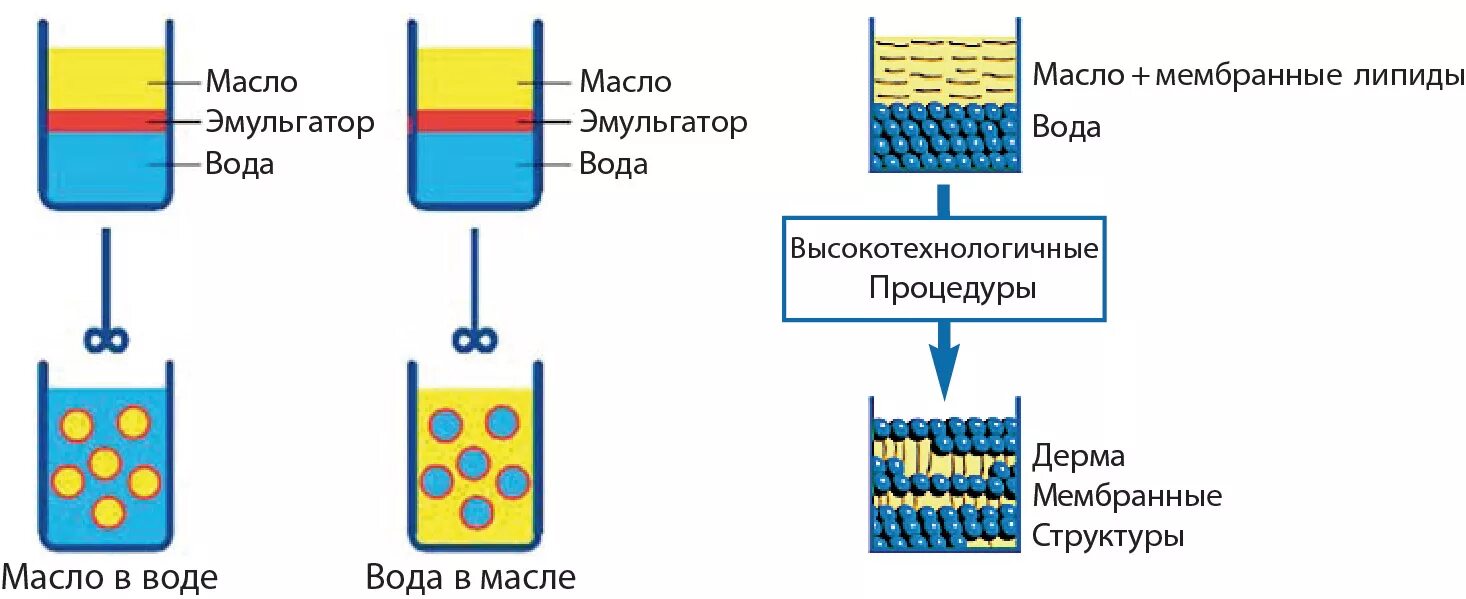 Получение эмульсии. Ламеллярная эмульсия mle. Структура ламеллярной эмульсии. Ламеллярная эмульсия схема. Строение ламеллярной эмульсии.