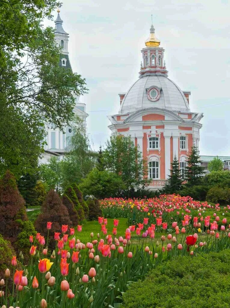 Подворье таганрог мариупольское. Баня подворье таганрог мариупольское шоссе. Спб подво рье канивержского монастыря. Подворье пролетарская крутицкое. Подворье коневского монастыря в спб.