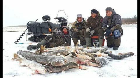 Клевая рыбалка видео якутия последнее