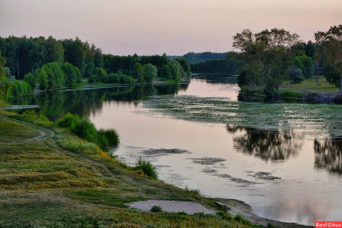 Доброе курская область