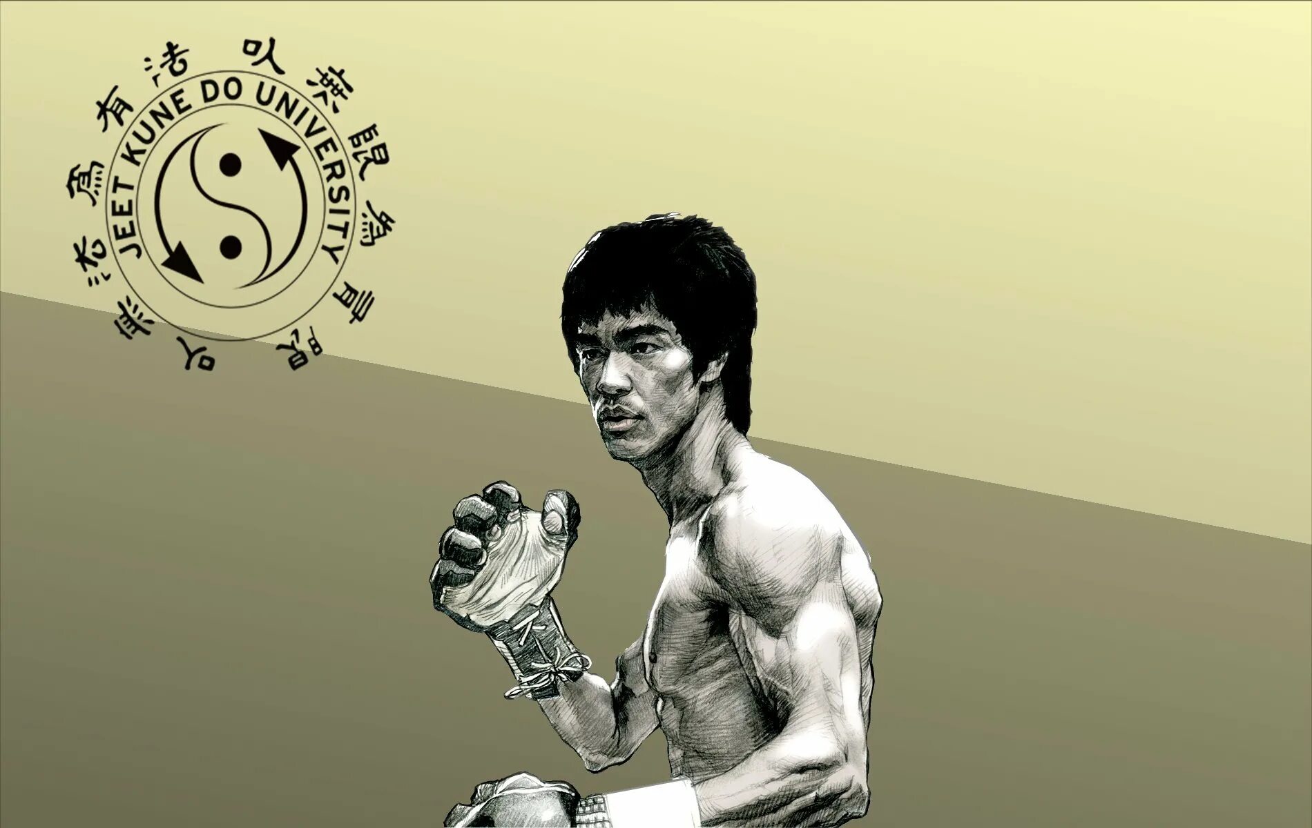 Брюс ли. Джиткундо Брюса ли. Jeet Kune do Bruce Lee. Брюс ли Jeet Kune do. Брюс перевод