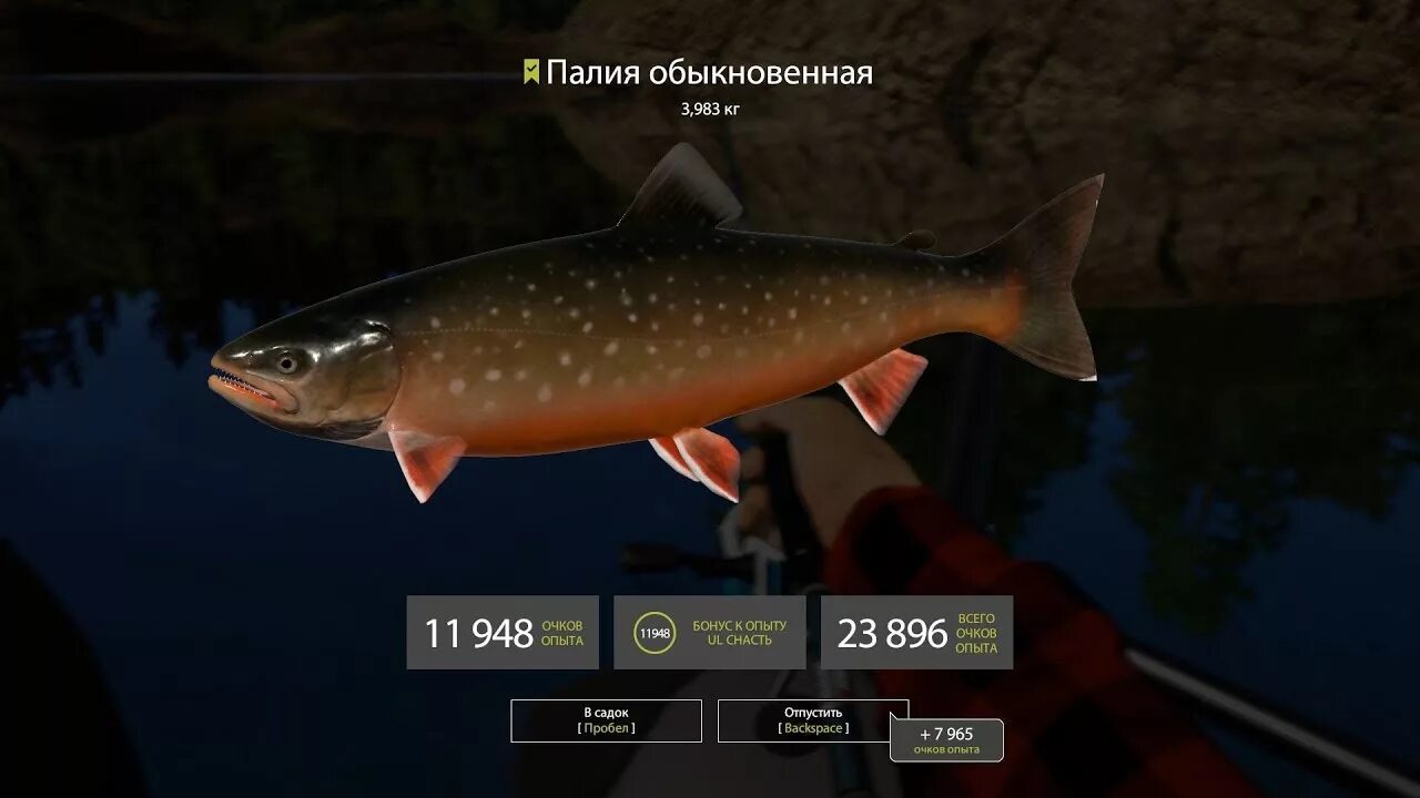 Палия русификатор