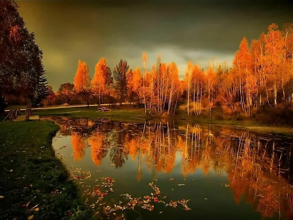 Осенний вечер октября. Осенний пейзаж. Осеннее озеро. Осень вечер. Осень вечер природа.