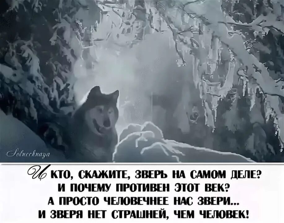 Стих быть зверем. Нет страшнее животного чем человек. Нет страшнее зверя чем человек. Страшнее человека нетживотношо. Самый страшный зверь это человек.