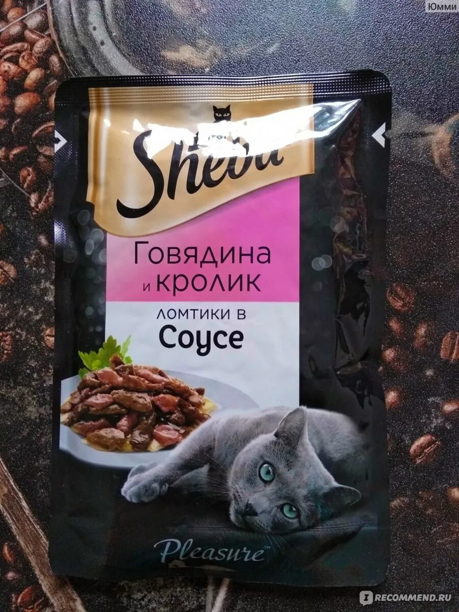 Сколько стоит пакетик корма для кошек. Шеба корм для кошек сухой корм. Пакетик Шеба корм для кошек. Шеба корм для кошек влажный. Пур на Шеба для кошят сухой.