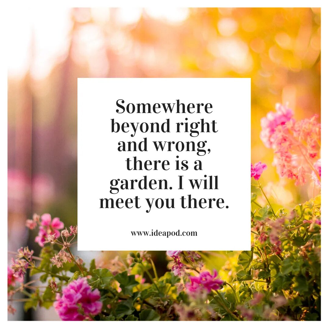 Песня i will meet you. We will meet. Beyond right and wrong there is a field. I will meet you there. Will you be there?. Something is wrong in there.