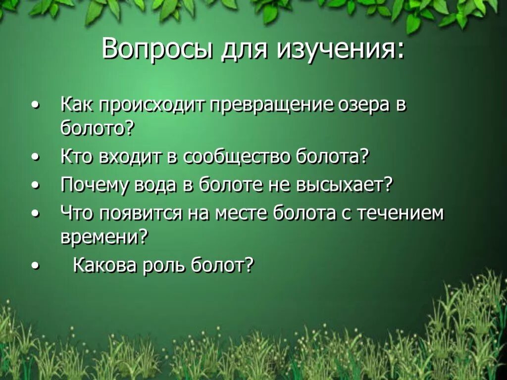 Болото по составу. Роль болот. Вопросы на тему болота. Вопросы про болото. Роль болот в природе.