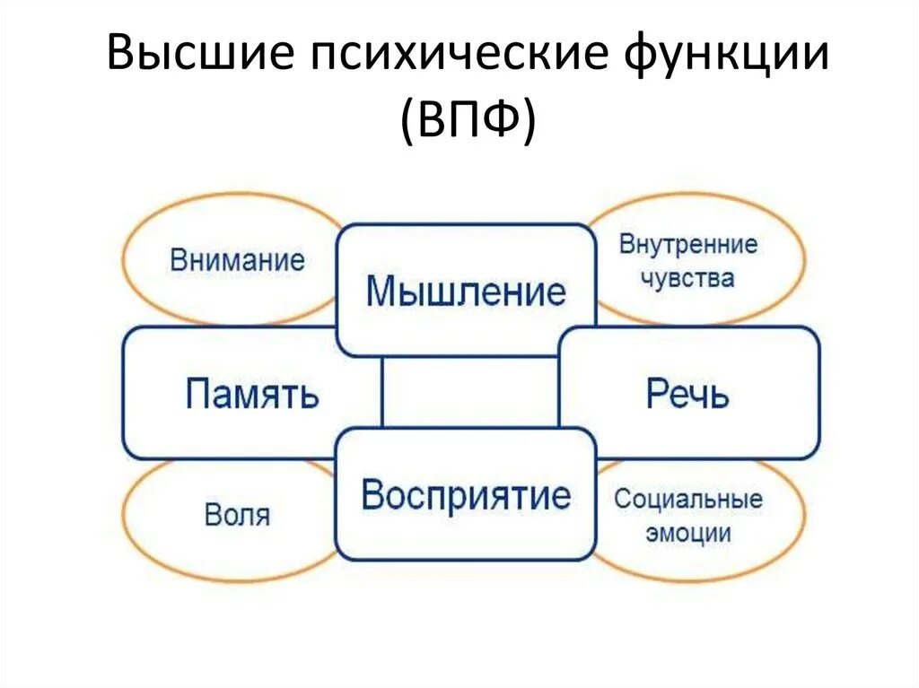 Нервно психические функции. Высшие функции психики. ВПФ. Основные ВПФ. Психические функции.