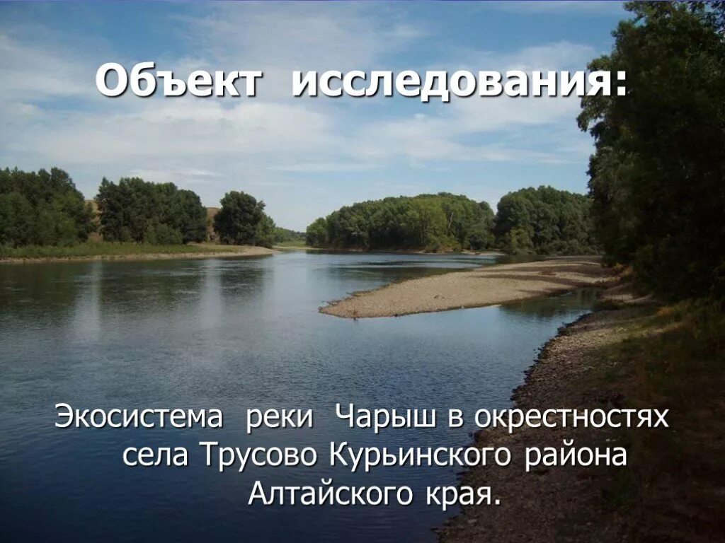 Погода трусово курьинский алтайский край. С Трусово Курьинский район. Село Трусово Алтайский край. Экосистемы Алтайского края. Село Трусово Курьинский район Чарыш.