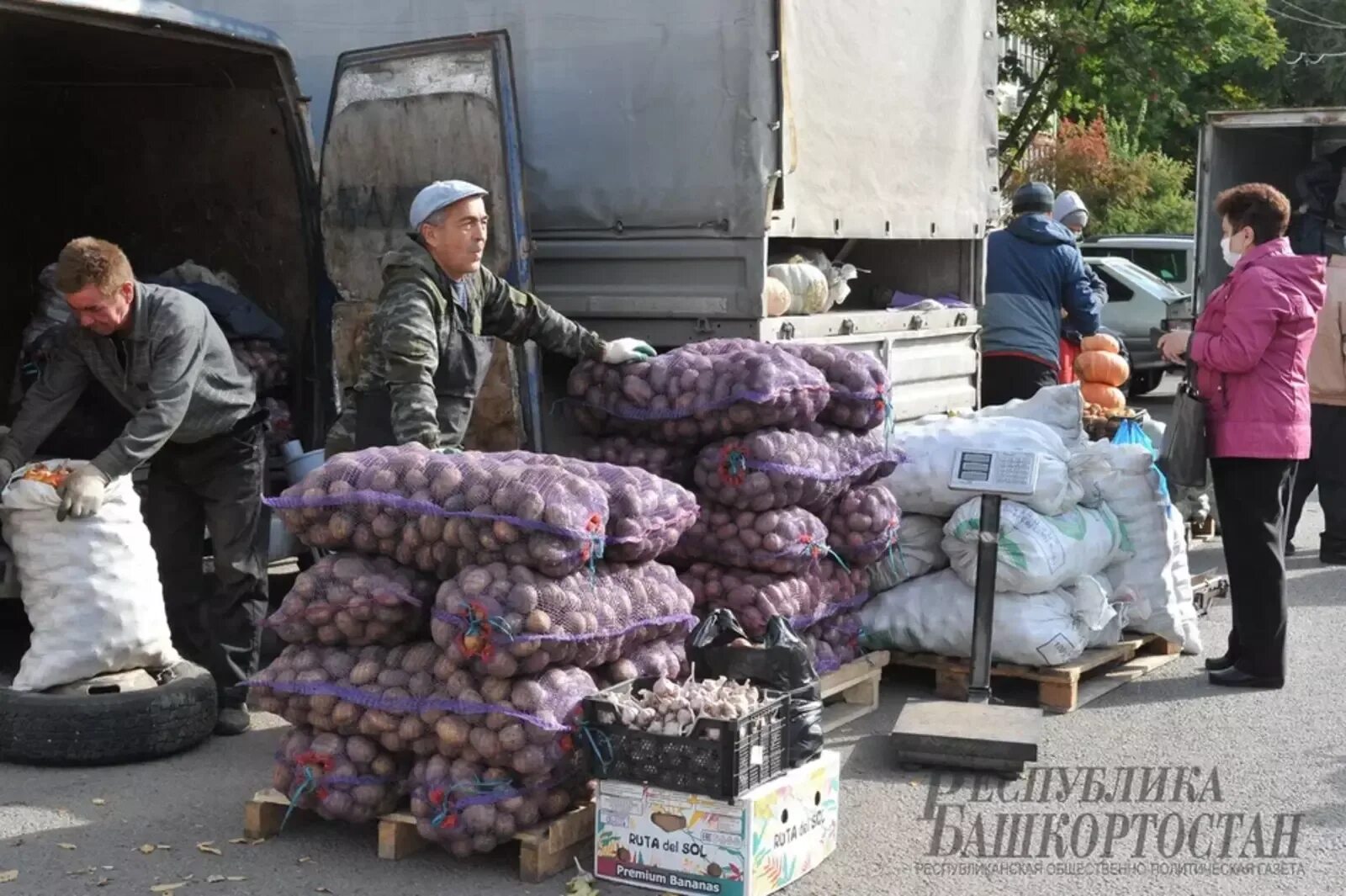 Где проходит ярмарка в уфе. Сельхозярмарка уфа. осенние ярмарки уфа. 7 октября сельхозярмарка. белорусская ярмарка в уфе 22 октября 2025.