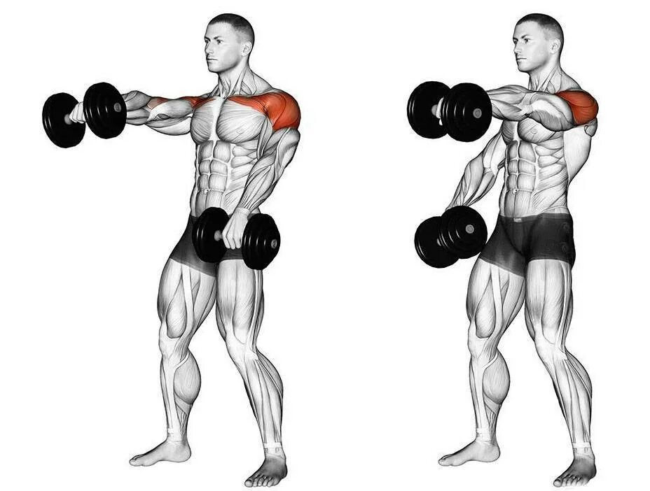 Гантели для новичков. Подъем гантелей на дельты. Подъем гантелей вперед фронтальная часть дельты. Подъем гантелей перед собой передняя Дельта. Передняя Дельта плеча упражнения с гантелями.