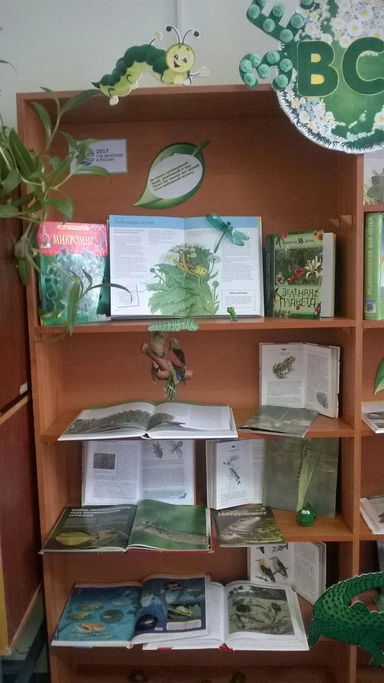 книжная выставка о войне. книжная выставка очарование забытых книг в библиотеке. кн выст. выставка о природе в детской библиотеке. кн выст.