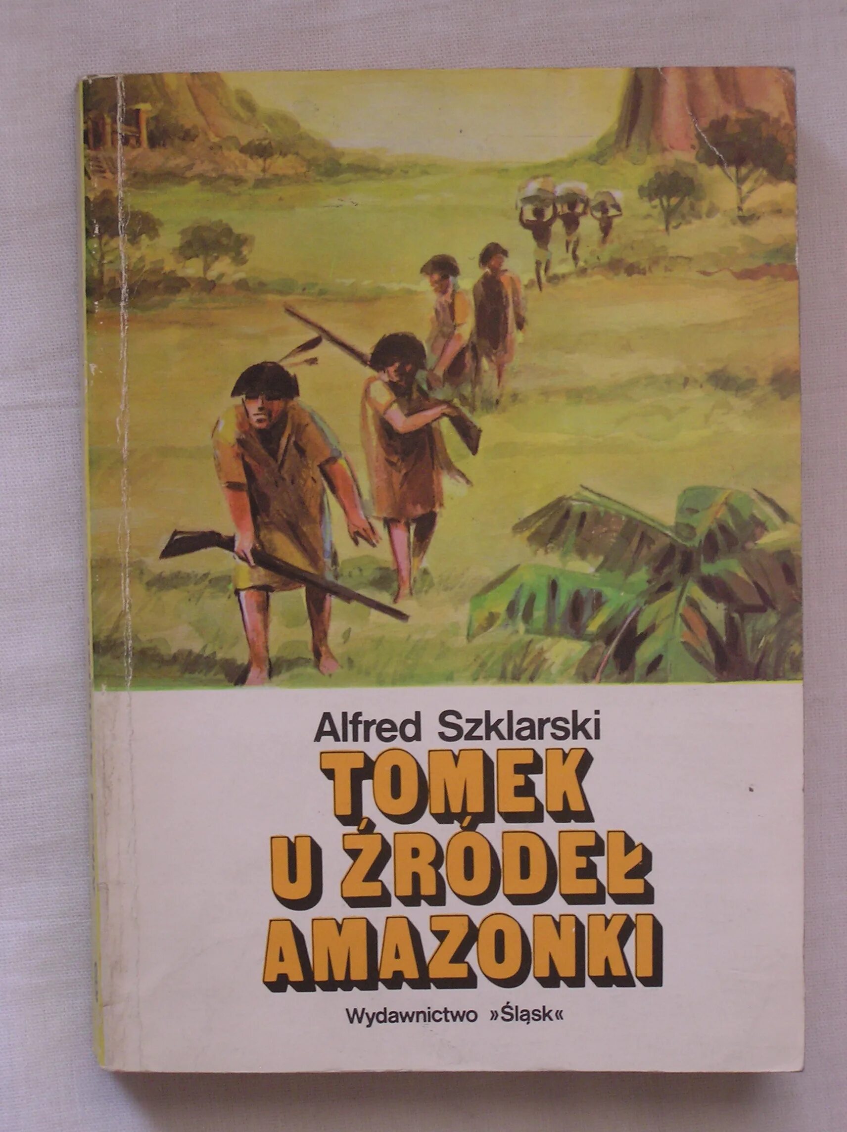 Читать книгу амазонка