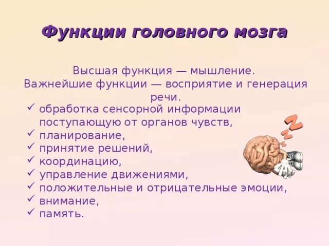 Функции мозга кратко