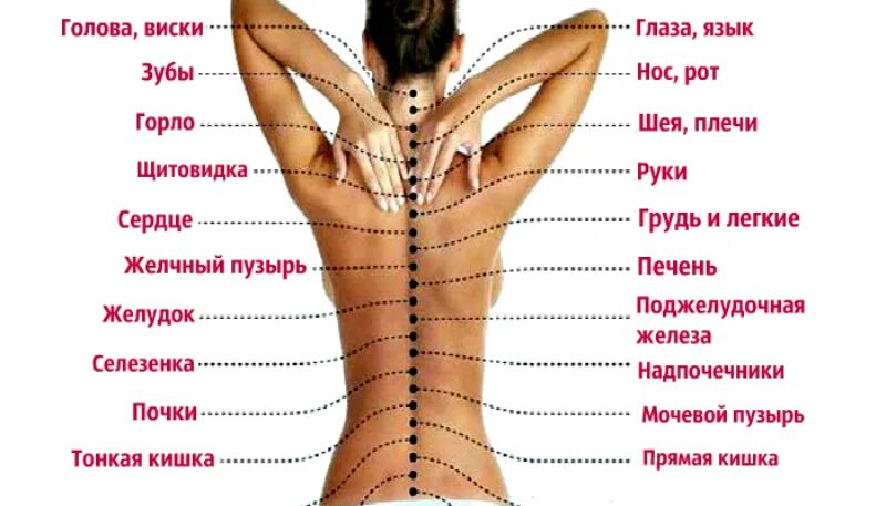 Что означает левая сторона у женщины. Что означает левая сторона у женщины. Органы и негативные эмоции. Карта психосоматических заболеваний. Низ живота у женщин.