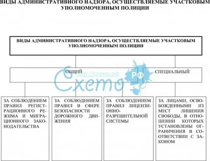 Надзор осуществляется в отношении