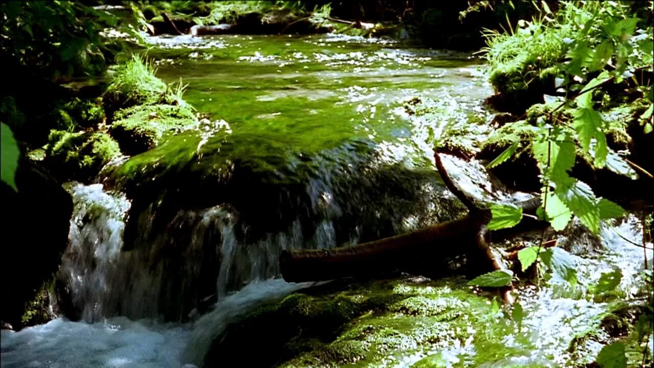 Гифы водопады и горные реки. Живой подвести. Зимний водопровод на даче. Ручей живая природа. Анимированная река.