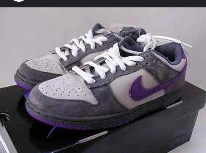 Найк с голубем. Nike SB Dunk Purple Pigeon. Nike Dunk Purple Pigeon. Nike SB Dunk Low Purple Pigeon. Кроссовки Nike SB Dunk Low Purple Pigeon.