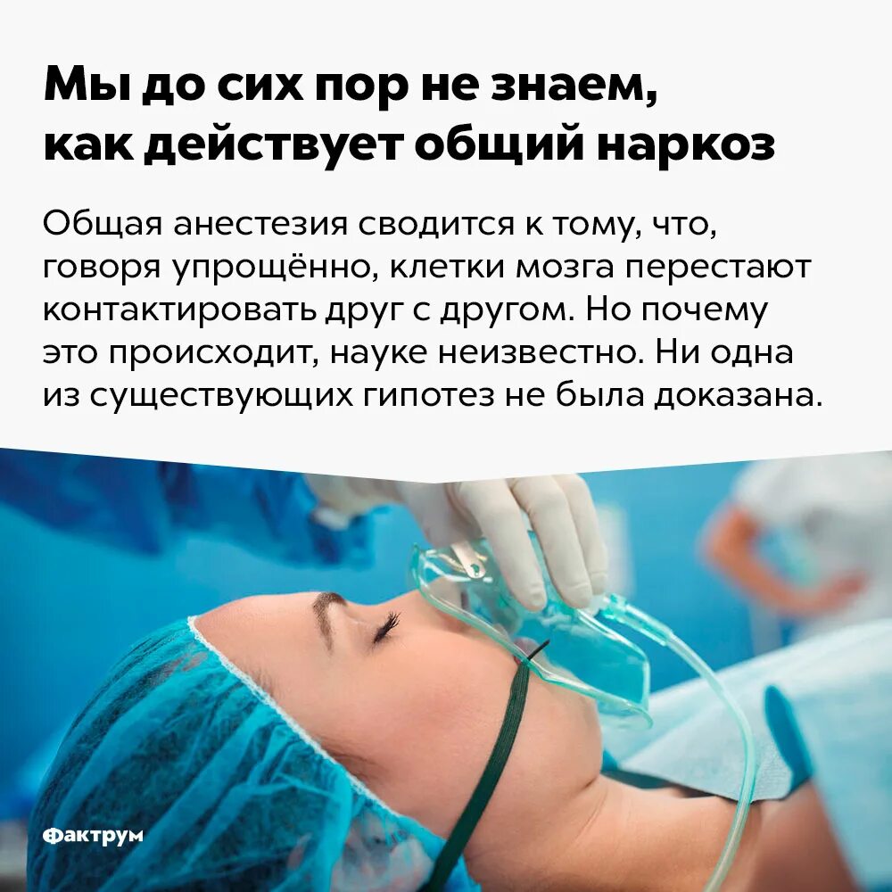 Общая анестезия (наркоз). Как действует общий наркоз. Во время операции под общим наркозом