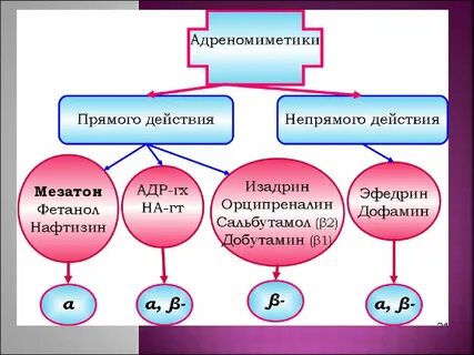 Механизм действия адреномиметиков