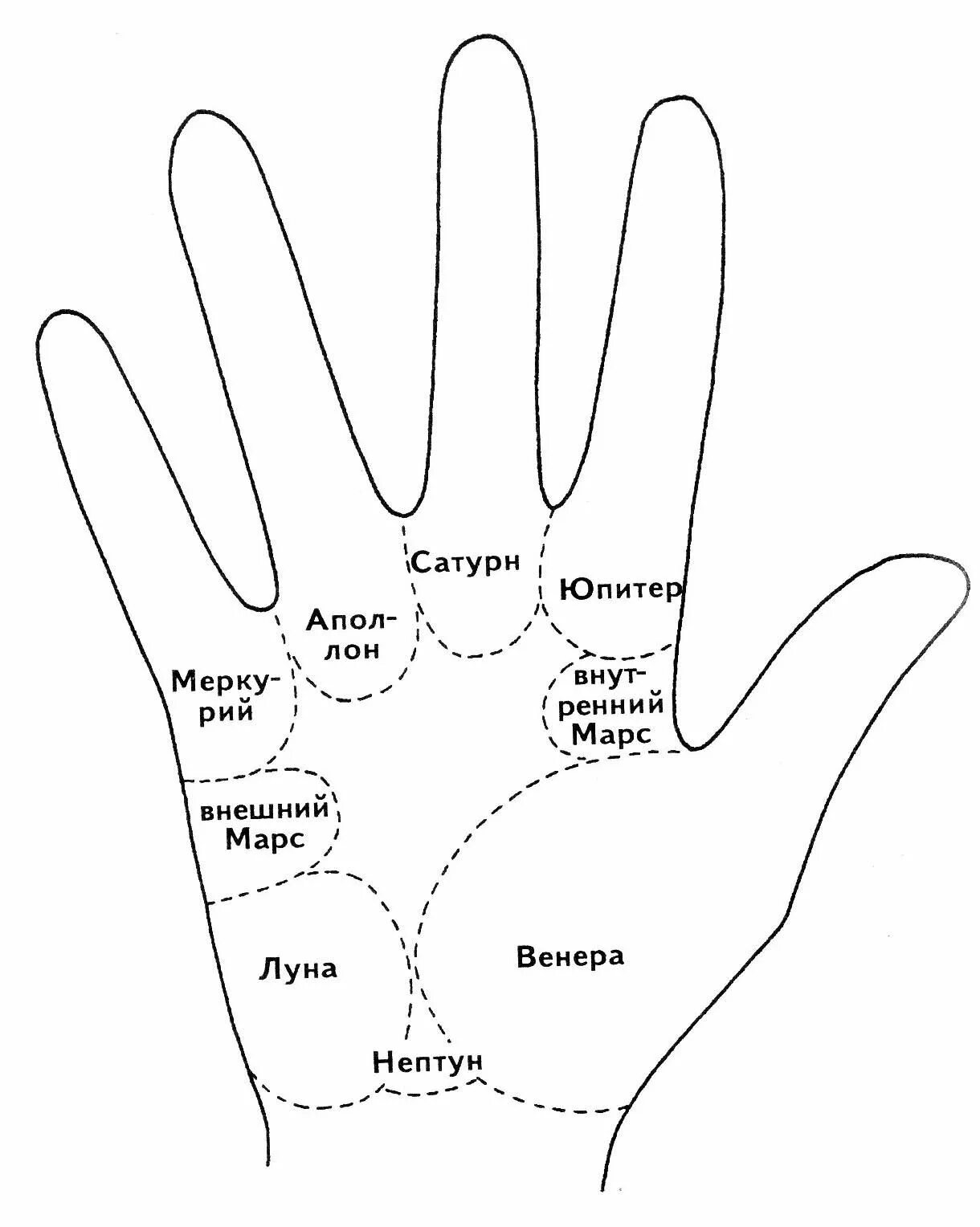 Холм Меркурия хиромантия. Название холмов на ладони хиромантия. Хиромантия холм Юпитера. Схема ладони в хиромантии.