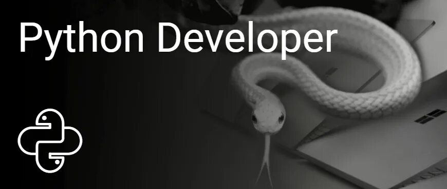 Разработчик на python. Питон разработчик. питон девелопер. курсы по изучению питона. что нужно знать питон разработчику.
