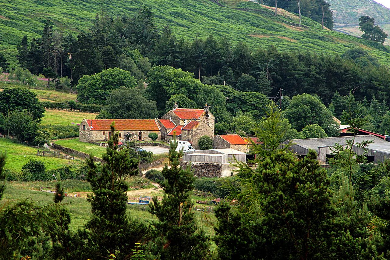 Кливленд Великобритания. Cleveland Hills.