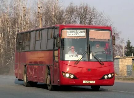 Новости курск брянск белгород