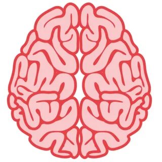 Brain am