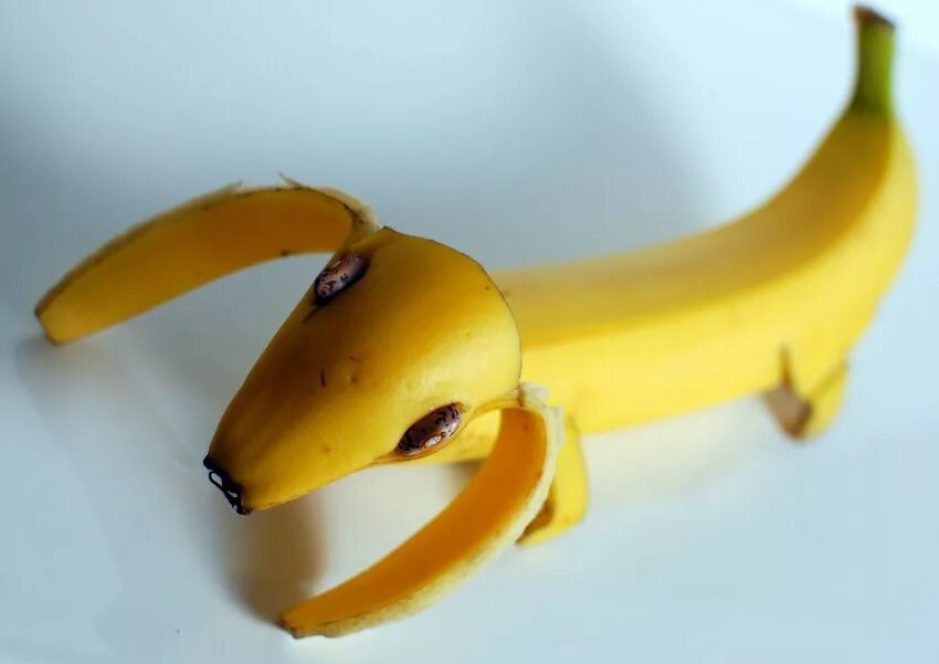 Такса из банана. Собака ест банан. Собака ест банан. Собака с бананом. Корги банан.