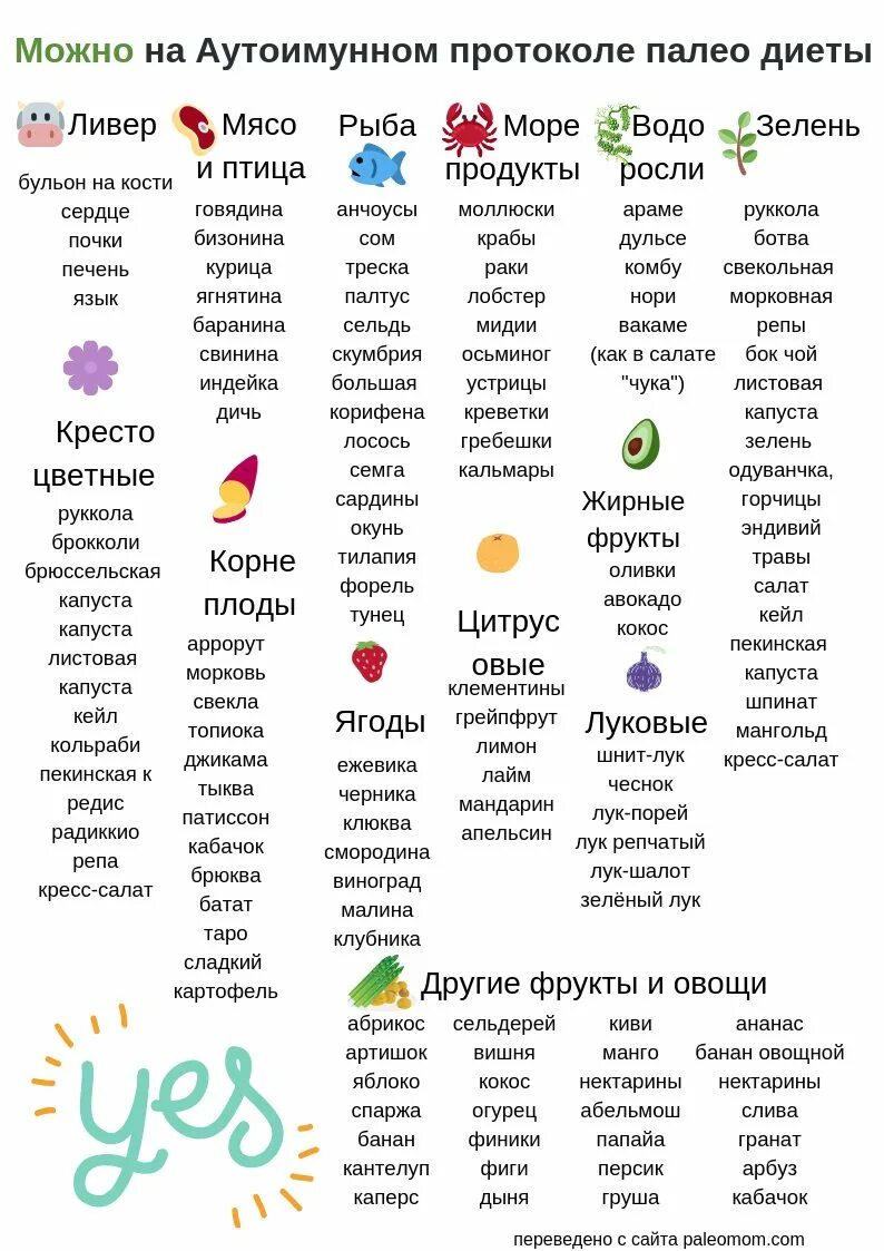 Аутоиммунное питание меню. Палео протокол список продуктов. палео протокол питания. диета палео аутоиммунный протокол меню. палео питание аутоиммунный протокол.