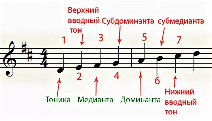 Мелодия в ре мажоре. Тоника Субдоминанта Доминанта ступени. Гамма до мажор ступени ,тоника. Тоника гаммы Ре мажор.