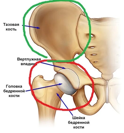 Болит тазовая кость справа