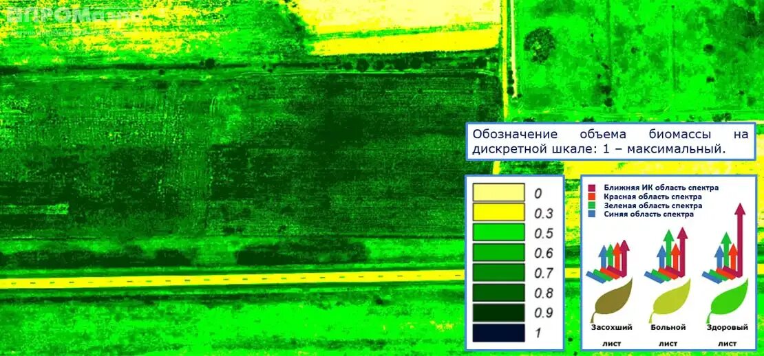 Спутниковые снимки полей ndvi. Вегетация полей. Вегетация полей. Ndvi классификация растительности. Индекс вегетации ndvi.