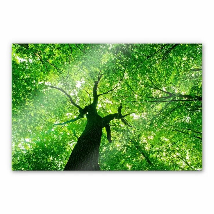 Under the tree. Under the tree